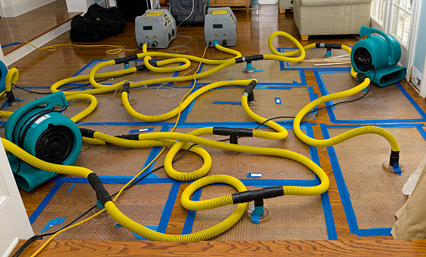 Professional Structural Drying And Dehumidification technician working in Burleson, TX